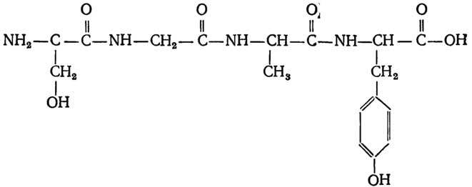 http://www.lifelib.info/biochemistry/basics/images/000137.jpg