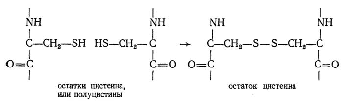 http://www.lifelib.info/biochemistry/basics/images/000022.jpg