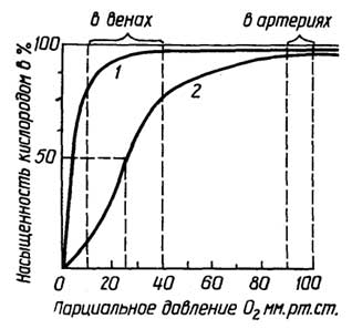 Рис. II.28. Кривые насыщения кислородом миоглобина (1) и гемоглобина (2). Парциальное давление кислорода в артериях 90-100 мм рт. ст., в венах - 10-40 мм рт. ст.