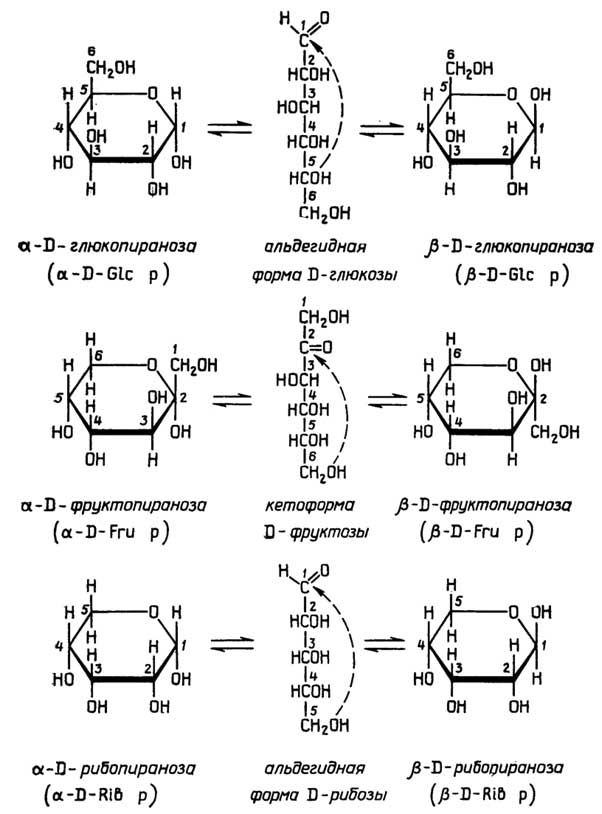 Рис. II.41. Циклизация D-глюкозы, D-фруктозы и D-рибозы с образованием пиранозных аномеров, изображенных с помощью формул Хеуорса