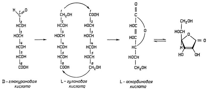 Рис. II.48. L-Аскорбиновая кислота (витамин С)