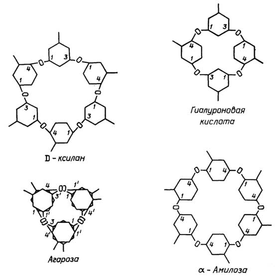 Рис. II.64. Спиральные структуры полисахаридов в поперечном сечении
