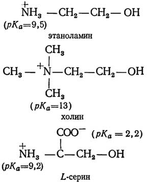http://www.lifelib.info/biochemistry/basics/images/000055.jpg