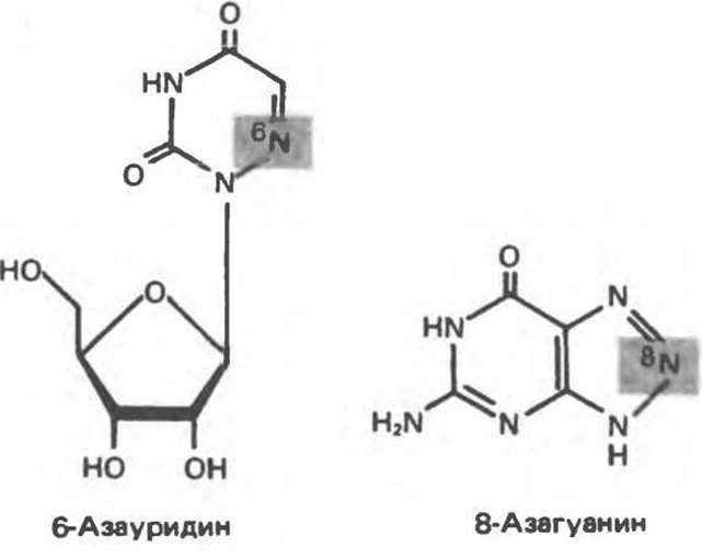 Синтетические аналоги нуклеотидов - Нуклеотиды - Структура, функция и .