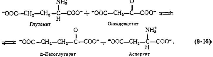 Пиридоксальфосфат - Тиаминдифосфат - Коферменты - особые природные .
